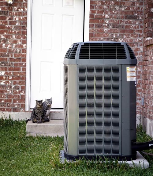 A cat sitting in front of an air conditioner.